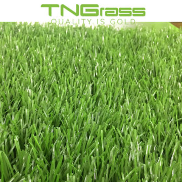 Cỏ nhân tạo sân bóng giá rẻ TNG CR1