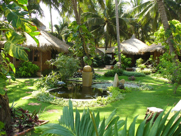 cỏ nhân tạo sân vườn đã qua sử dụng 1